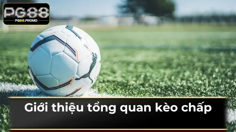 Asian Handicap là lựa chọn đầu tư bóng đá phổ biến trên PG88